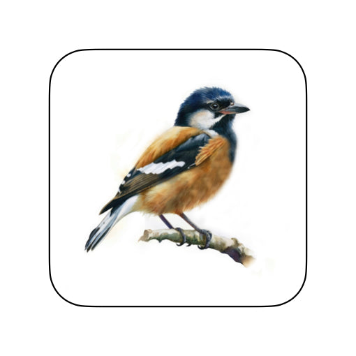 Coasters of Birds - Black & Brown