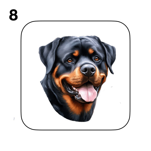 Coasters - 48x different images of Rottweiler dog breed