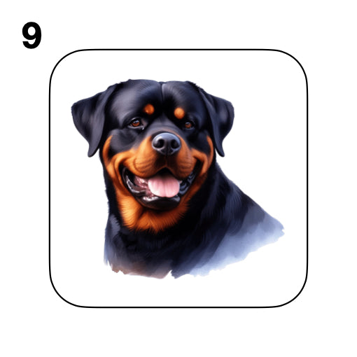 Coasters - 48x different images of Rottweiler dog breed