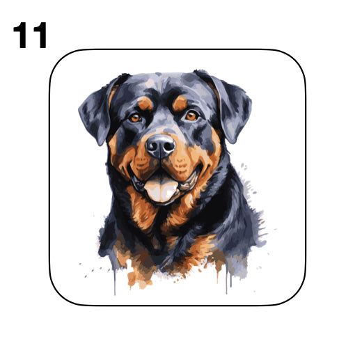 Coasters - 48x different images of Rottweiler dog breed