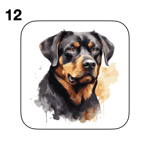 Coasters - 48x different images of Rottweiler dog breed