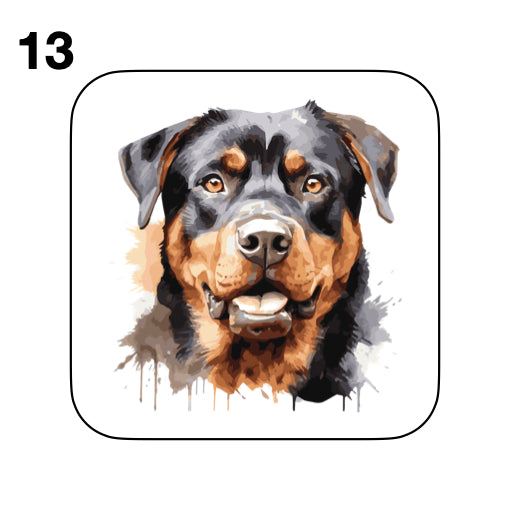 Coasters - 48x different images of Rottweiler dog breed