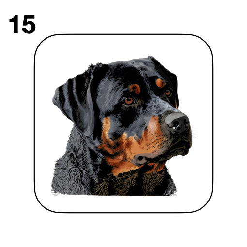 Coasters - 48x different images of Rottweiler dog breed