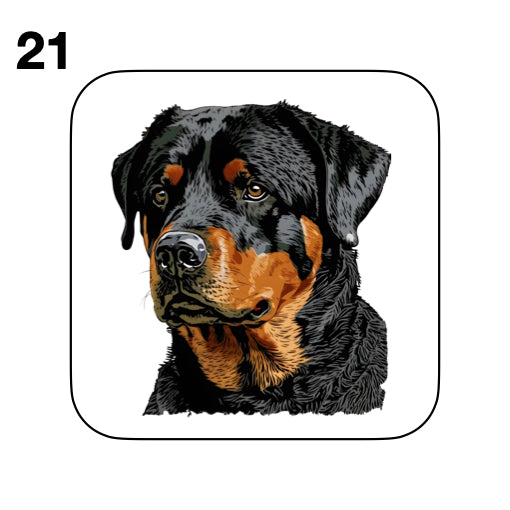 Coasters - 48x different images of Rottweiler dog breed