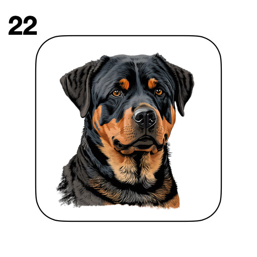 Coasters - 48x different images of Rottweiler dog breed