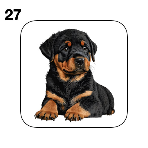 Coasters - 48x different images of Rottweiler dog breed