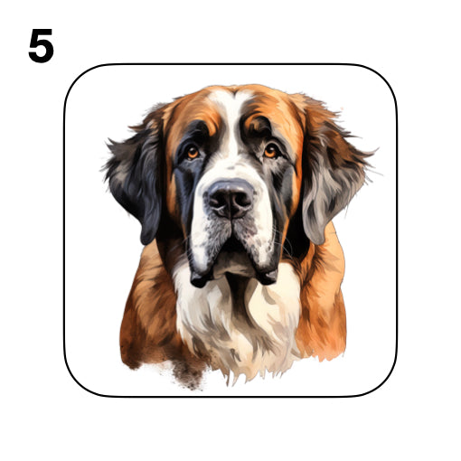 Coasters - 20x different images of St Bernard dog breed