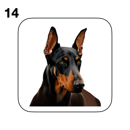 Coasters - 42x different images of Doberman dog breed