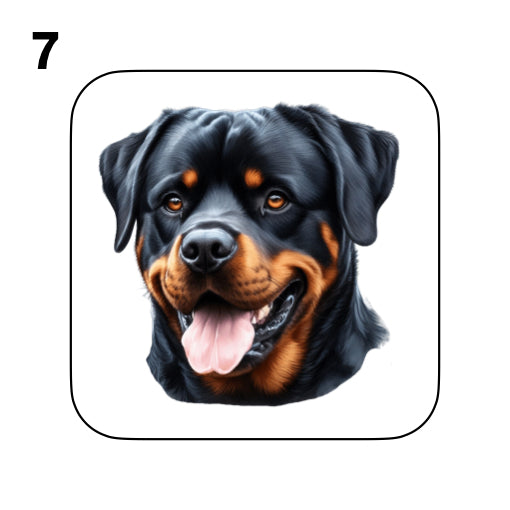 Coasters - 48x different images of Rottweiler dog breed