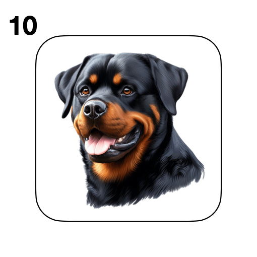 Coasters - 48x different images of Rottweiler dog breed