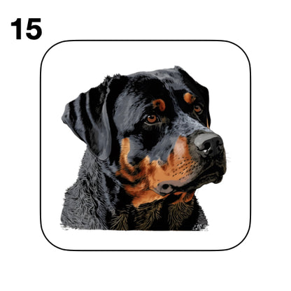 Coasters - 48x different images of Rottweiler dog breed