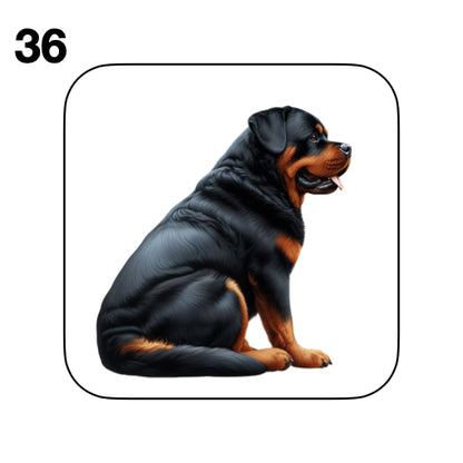 Coasters - 48x different images of Rottweiler dog breed