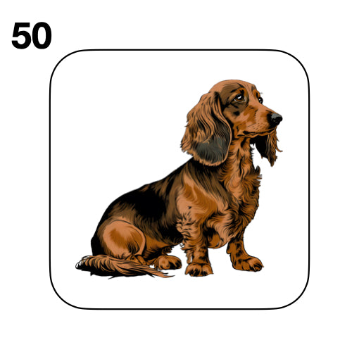 Coasters - 53x different images of Dachshund dog breed
