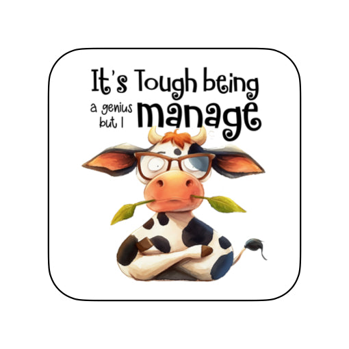 Coasters of Sarcastic Quotes with Cows